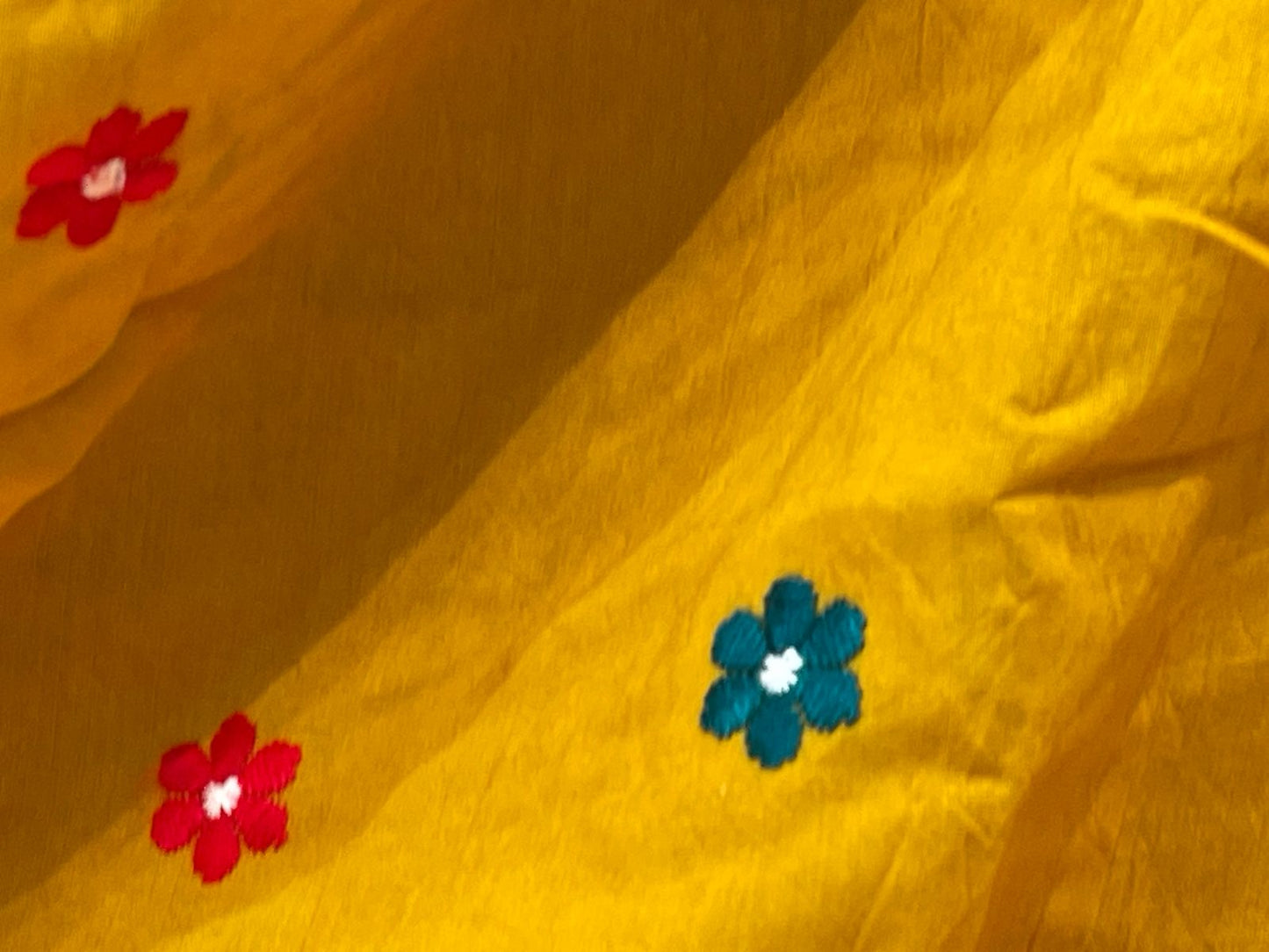 Chanya choli